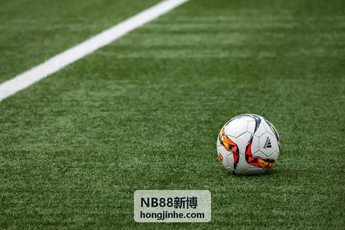 NB88新博数据流示意